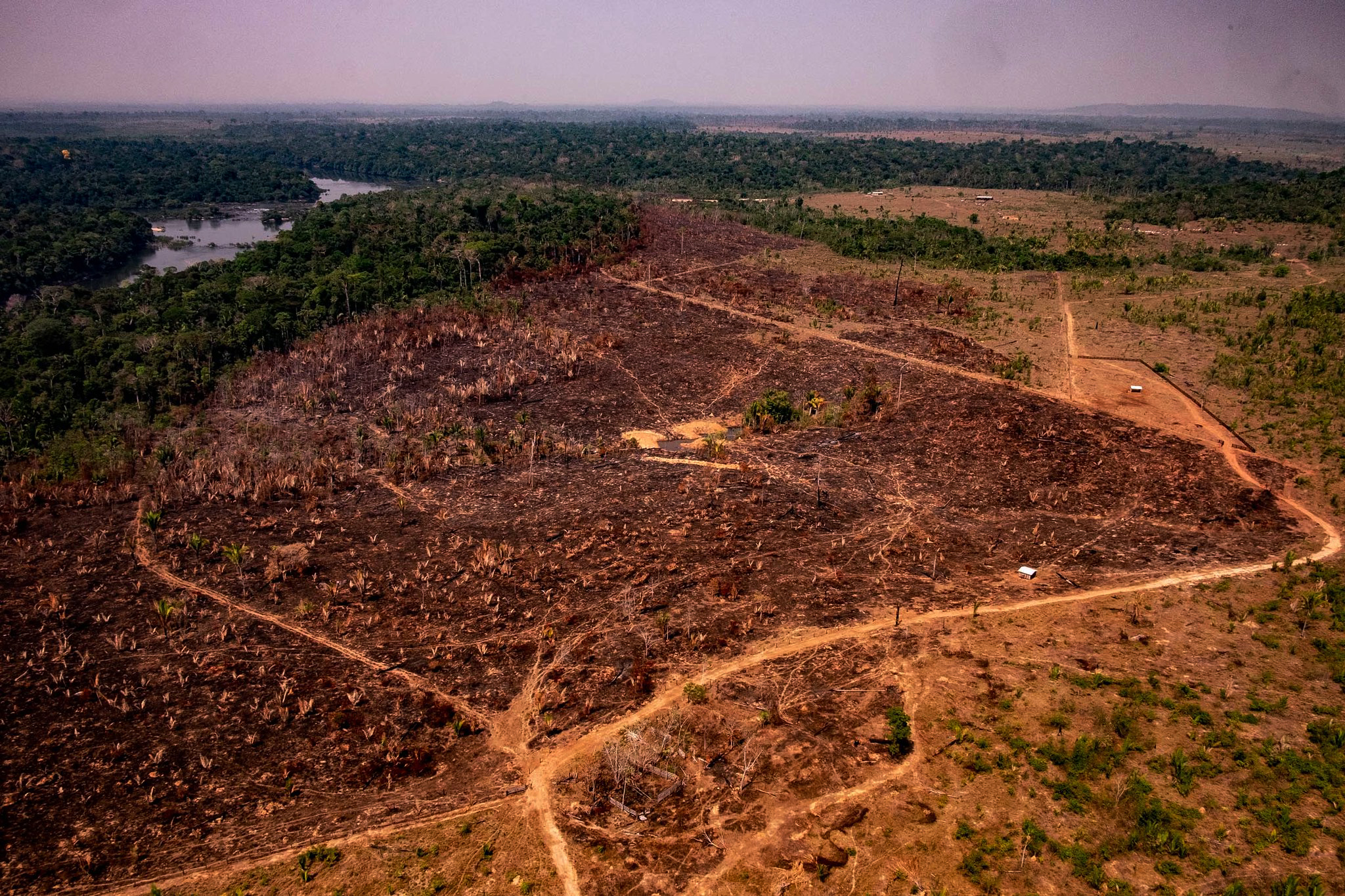 Perda de campos e florestas no País em 20 anos equivale a 6% do território