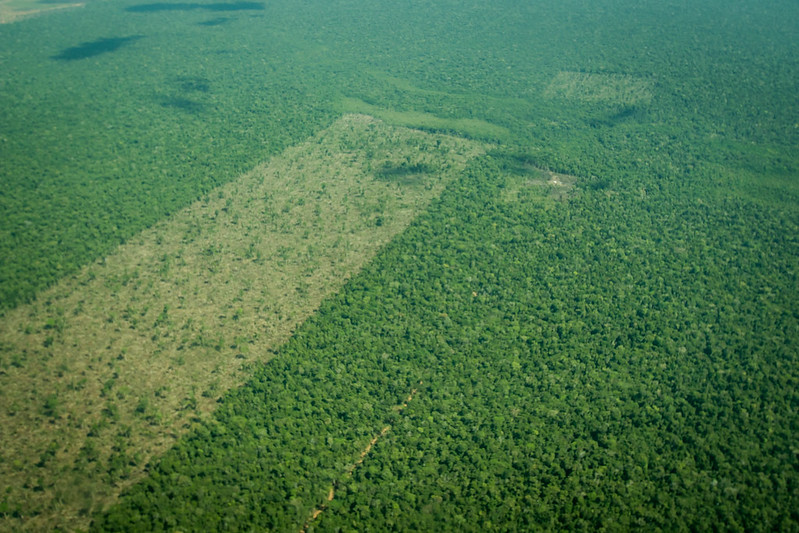 Áreas desmatadas têm safra menor, mostra estudo