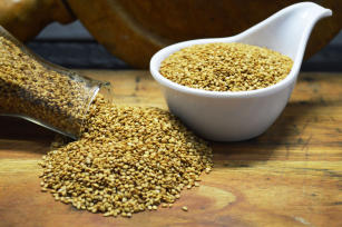 Sob seca, gergelim desafia domínio do milho em MT Sob seca, gergelim desafia domínio do milho em MT