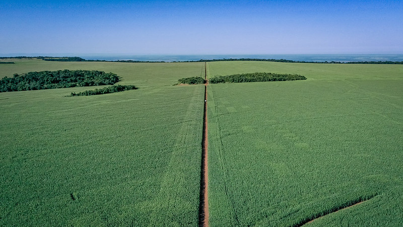 Agricultura vai liberar R$ 990 milhões para subsidiar seguro rural