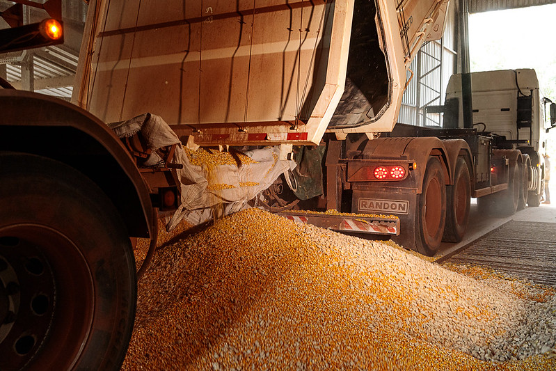 Alta no custo de produção de soja e milho pode reduzir rentabilidade