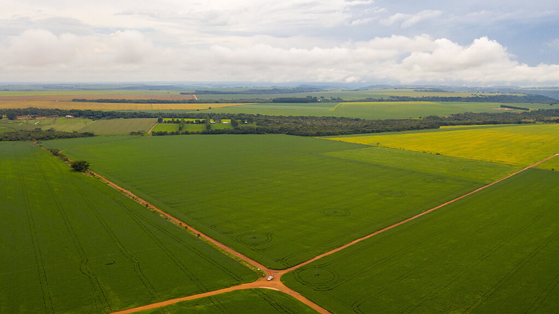 COP27: Gigantes do setor de alimentos apresentam roteiro agrícola para reduzir emissões