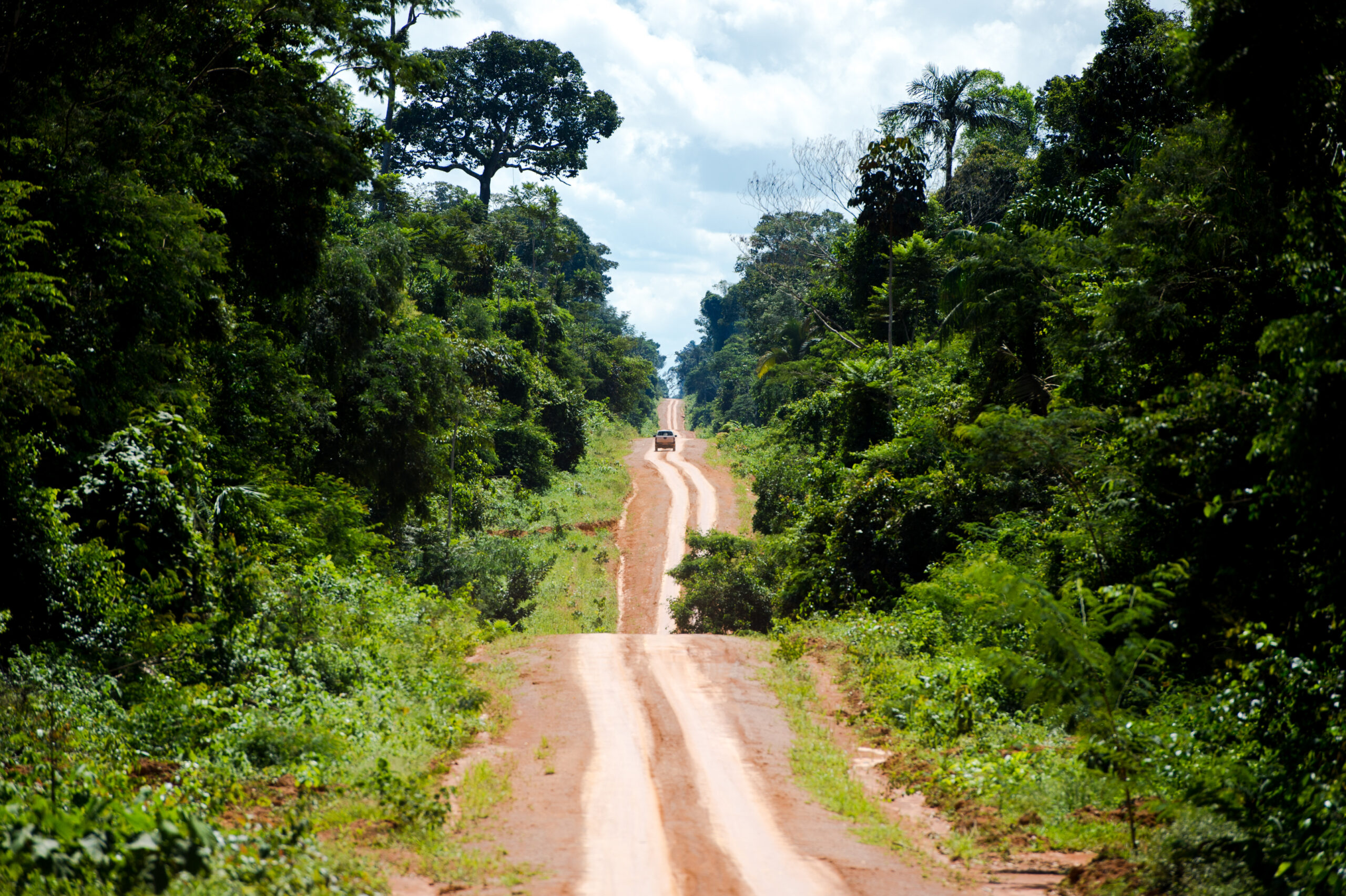 Reserva Extrativista Guariba-Roosevelt é alvo de grilagem com perda de 1.778 hectares