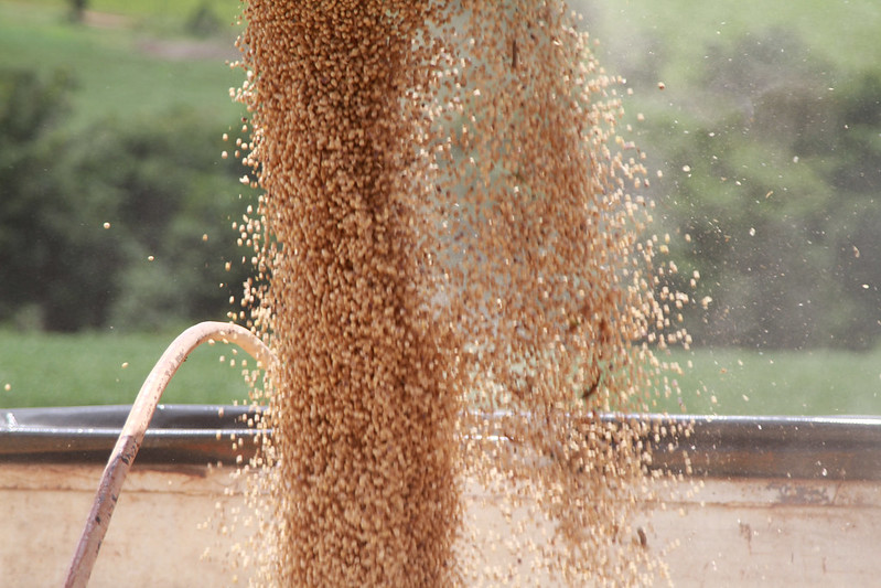 Custo de produção da soja mais do que dobra em MT, em três anos