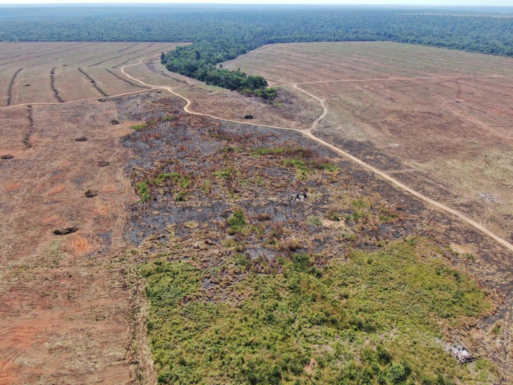 Operação ambiental multa fazenda em R$ 2 milhões por reincidência