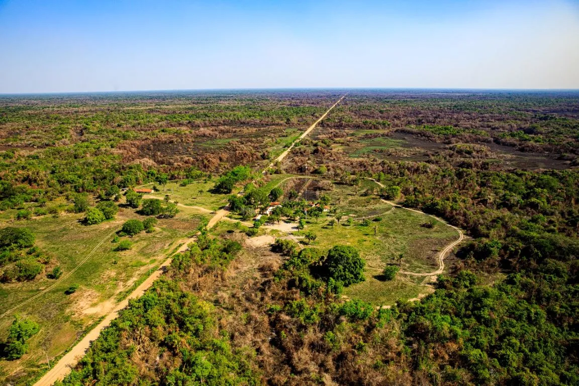 Audiência pública debate impactos de projeto que afrouxa proteção do Pantanal