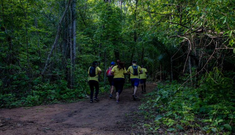 Parque recupera 1.700 ha de áreas degradadas com RNA e manejo de gado