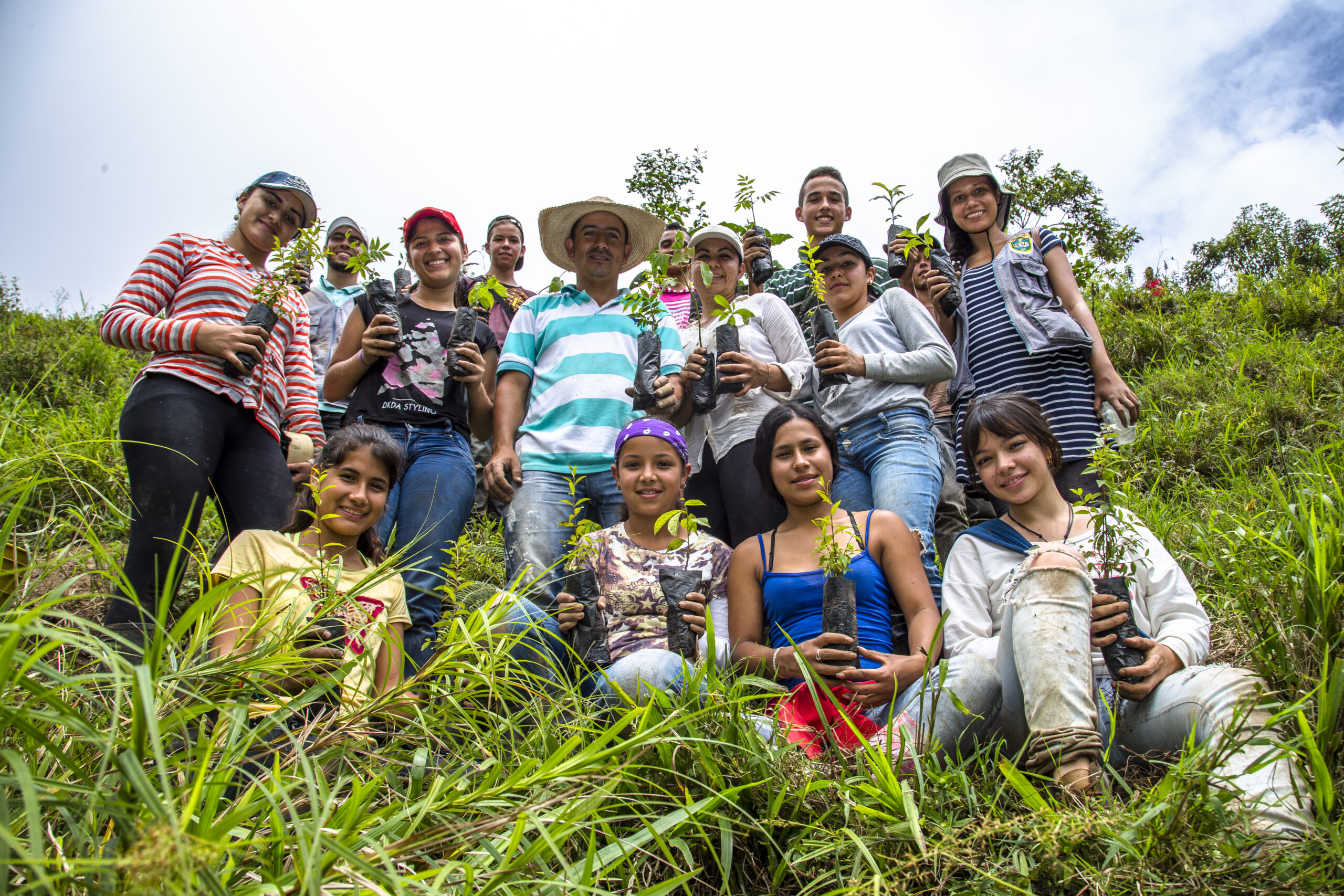 Veja ações de restauração de solo em países da América Latina