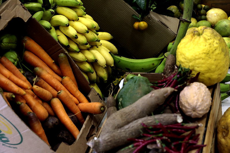 Seaf vai coletar dados sobre agricultura familiar para subsidiar políticas públicas