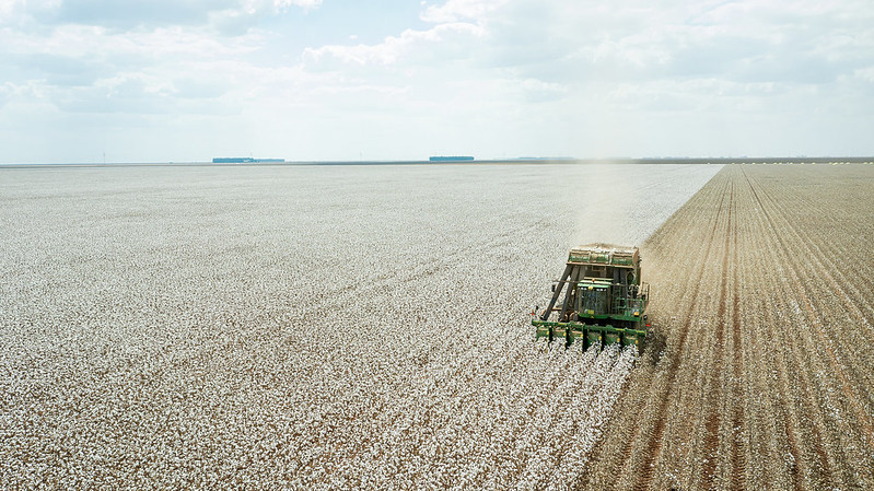 Agropecuária avança e já ocupa metade do Cerrado