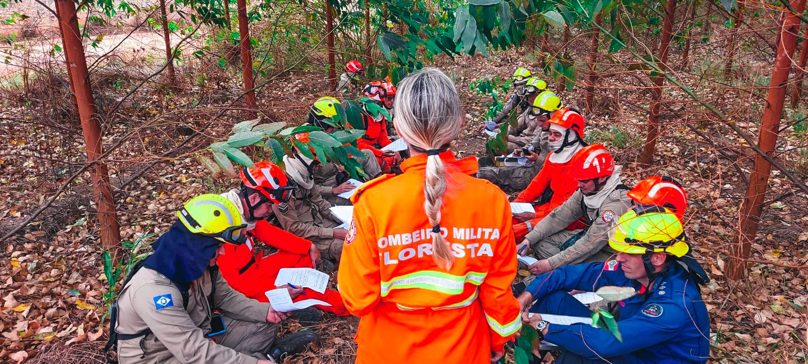 Corpo de Bombeiros de MT certifica 33 peritos em incêndios florestais