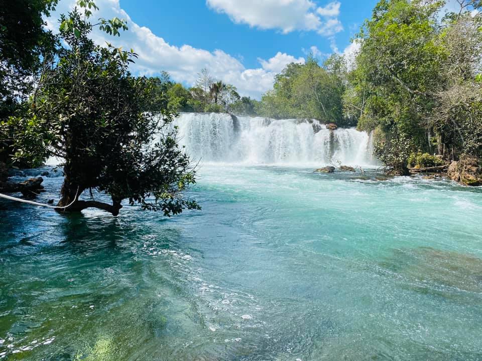 Como a Semana do Meio Ambiente é essencial para o produtor rural