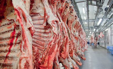Exportações de carne bovina de MT em maio caem 8,8% ante abril
