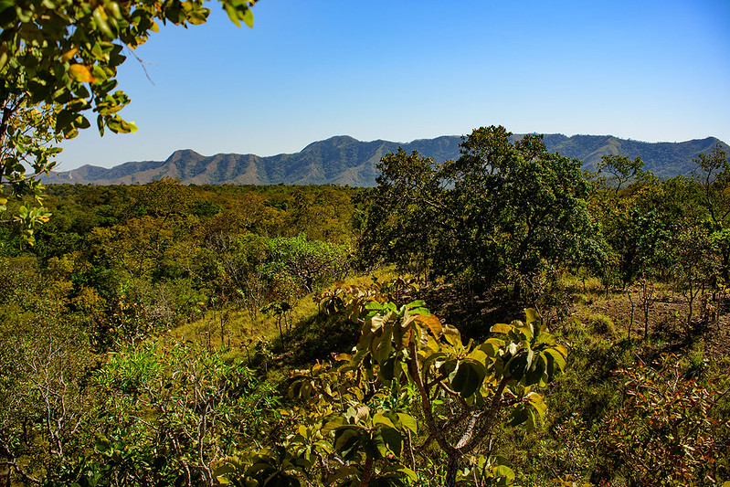 Agro pode liderar estratégias para transformar biodiversidade em ativo financeiro