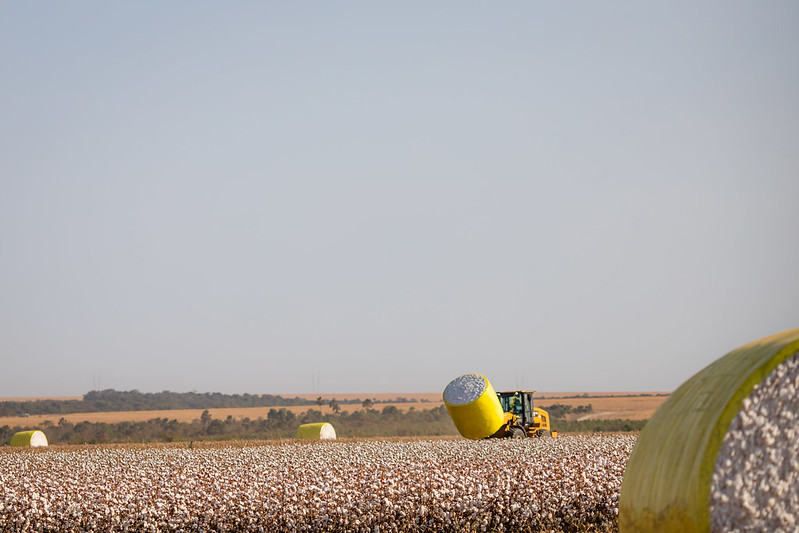 VBP Agropecuária deve crescer 2,4% em 2022 e atingir R$ 1,243 tri