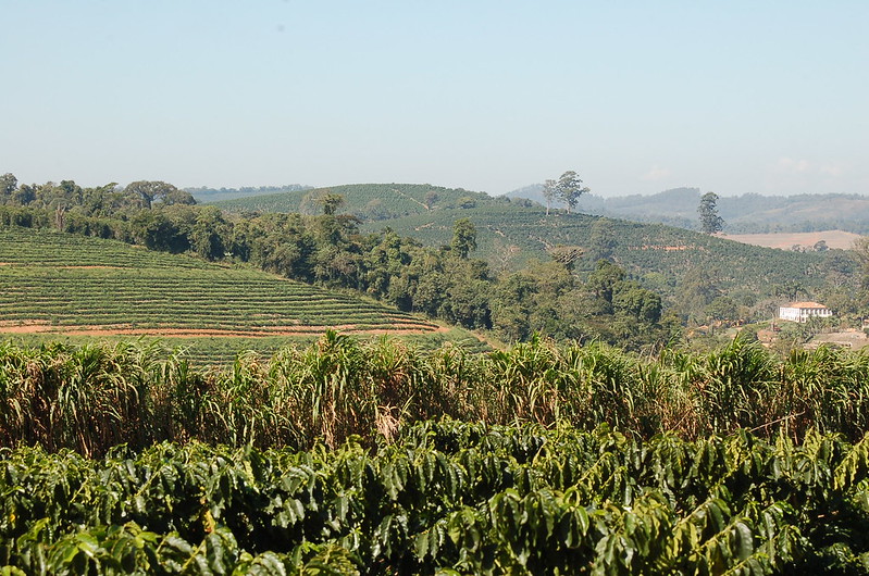 Senado aprova projeto que permite fiscalização privada do agronegócio