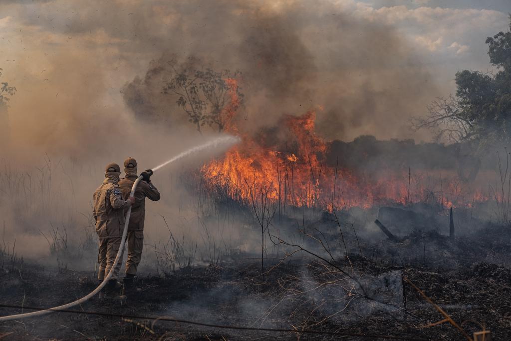 Cerrado tem recorde de queimadas em maio; número é o maior desde 1998