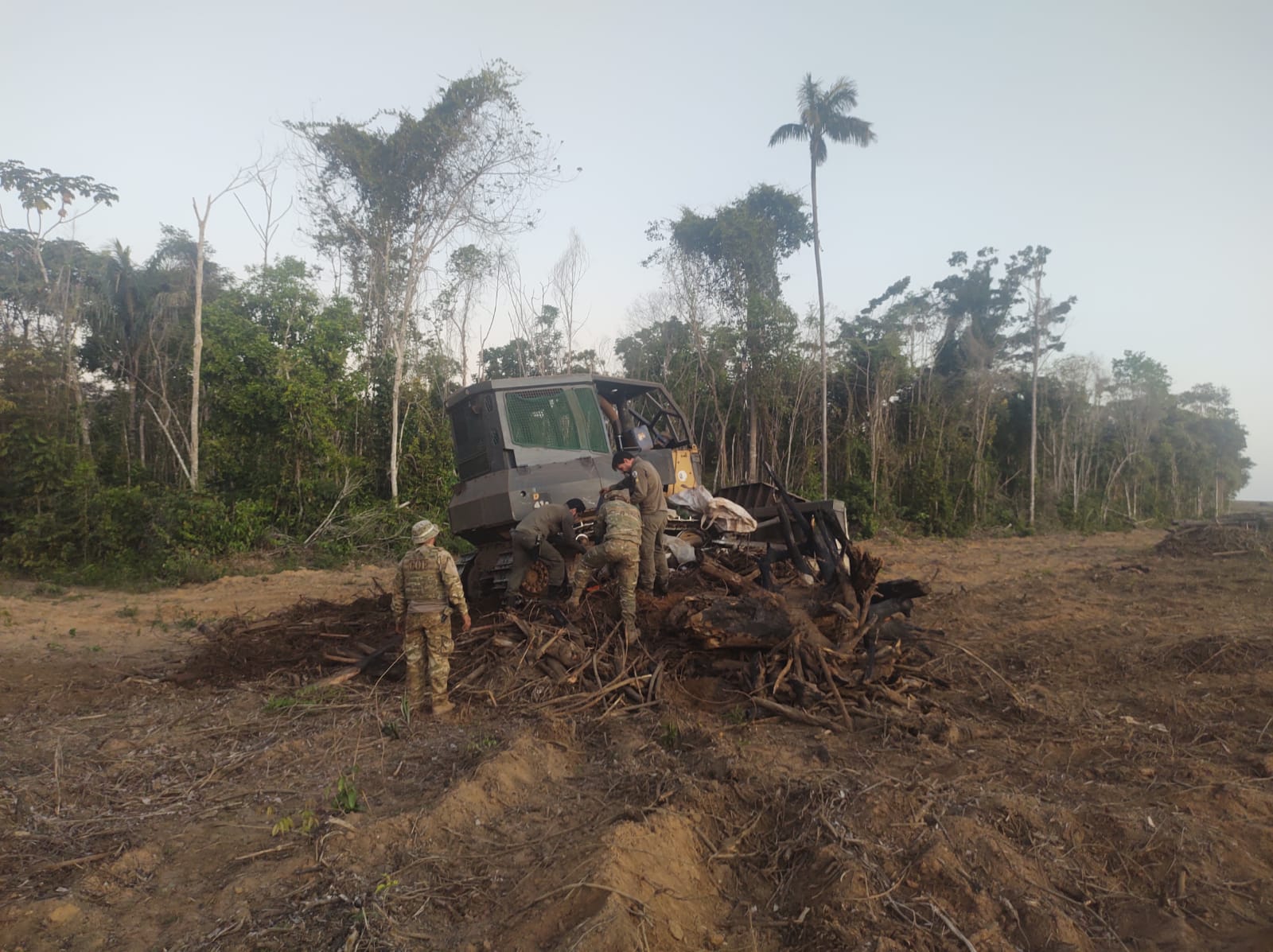 Operação contra desmatamento flagra atividade agrícola em área embargada