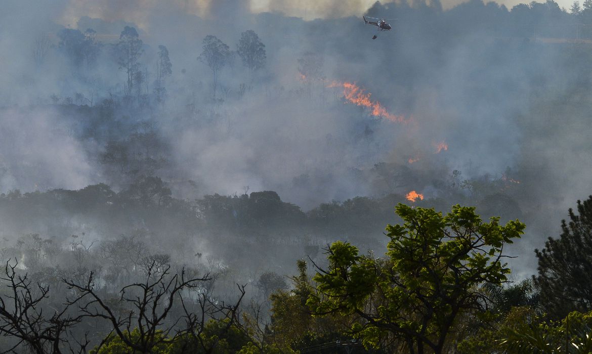 Decreto proíbe emprego do fogo em áreas rurais e florestais por 120 dias