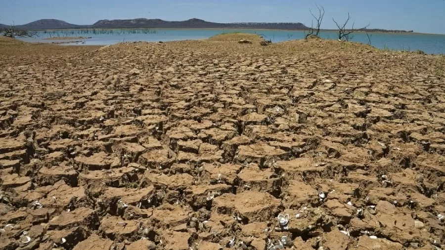 El Niño severo pode prejudicar produção agrícola e causar inflação