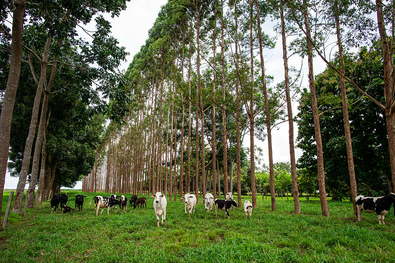 CNA vai promover Dia do Agro na COP28