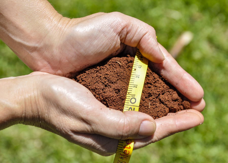 Nova regra aperfeiçoa o Zoneamento Agrícola de Risco Climático (Zarc)