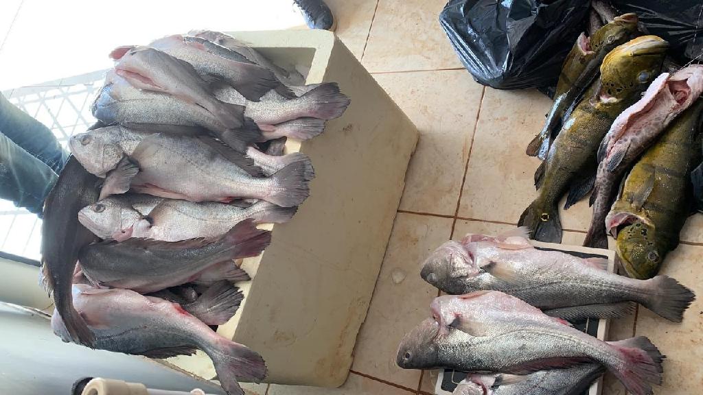 Dez pessoas são presas por pesca ilegal de 373 quilos de peixe