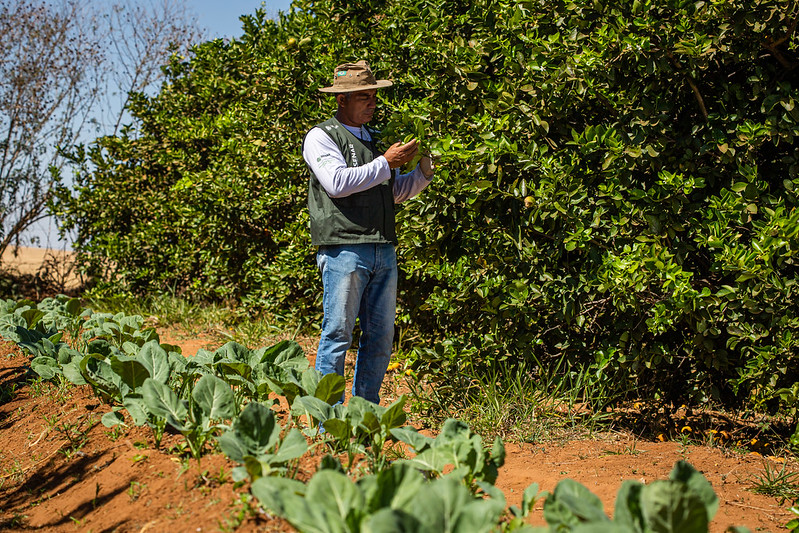 Mais de 1.500 agricultores familiares irão receber Garantia-Safra em julho