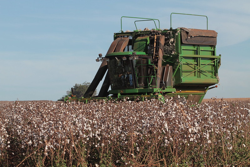 Agricultura triplica área de cultivo no Brasil em 37 anos