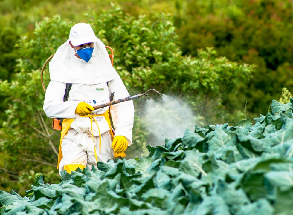 PL que facilita liberação de agrotóxicos pode ser votado semana que vem