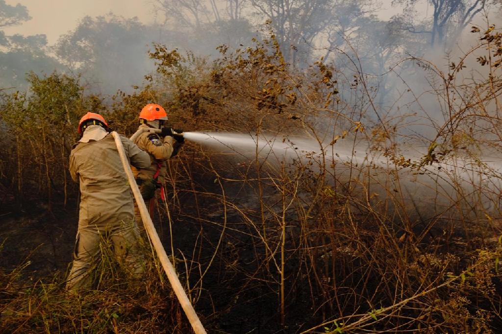 MT responde por um em cada quatro hectares queimados no Brasil em 2022