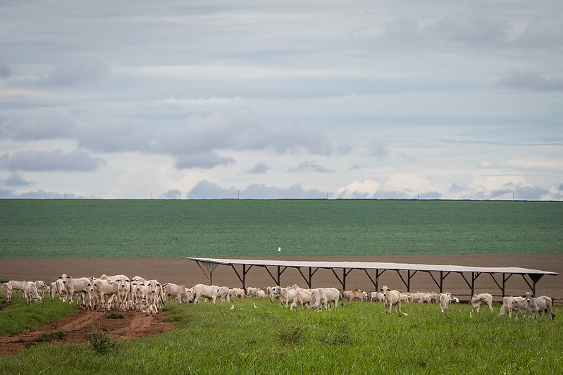 A partir de agosto, é preciso declarar imposto sobre propriedade rural