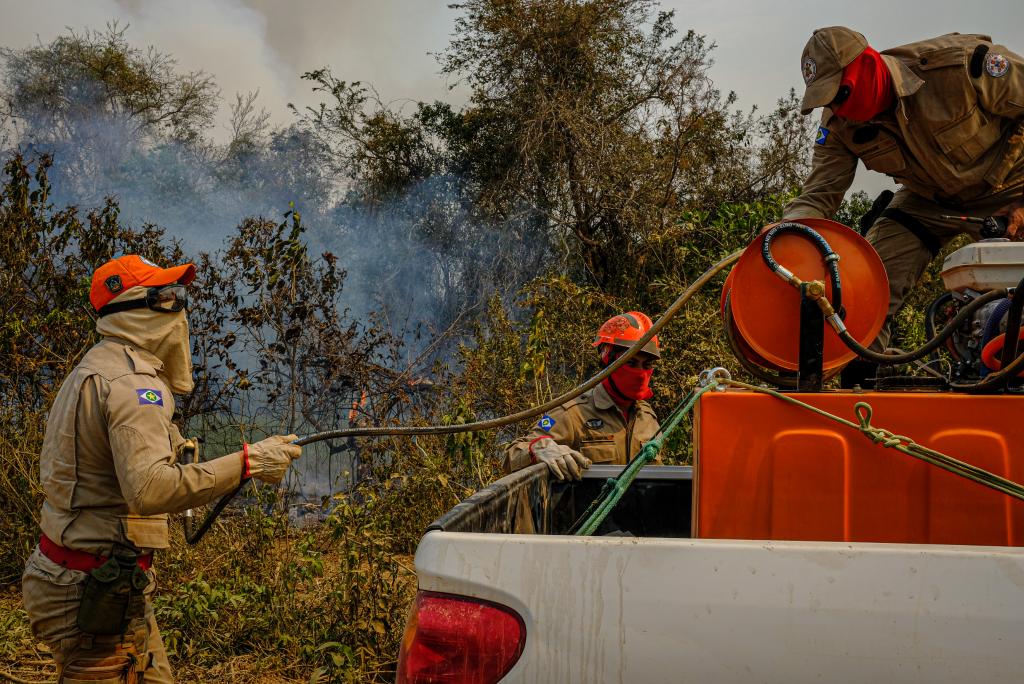 Incêndios consomem vegetação no entorno de Cuiabá