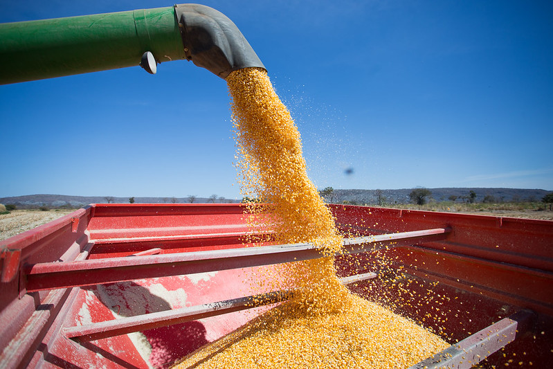 Exportação de milho em junho volta a disparar e bate 1,051 milhão de t