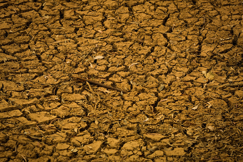 Mudanças climáticas podem elevar valor de seguro rural