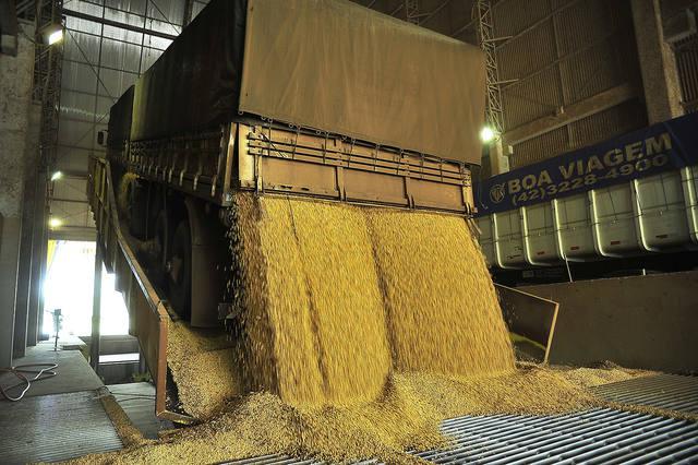 Transporte e armazenamento inadequados podem afetar qualidade da soja