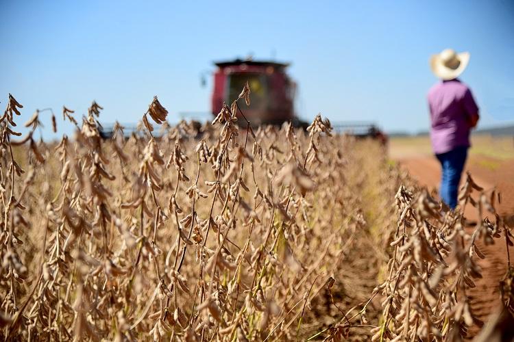 Agro é o 2º maior gerador de empregos, segundo Caged