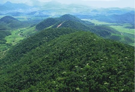 Produtores agora querem extinguir Parque Serra de Santa Bárbara