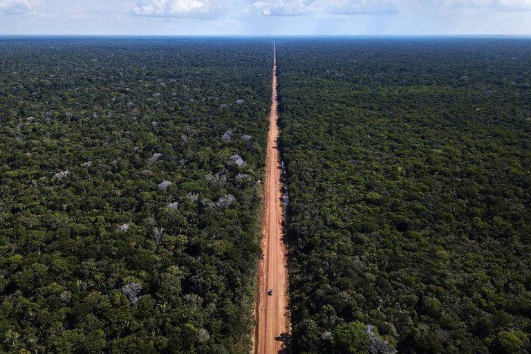 Mato Grosso lidera ranking de estradas ilegais em terras públicas