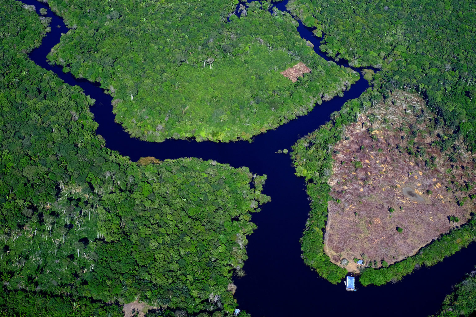 Desmatamento da Amazônia em julho equivale a uma cidade de SP