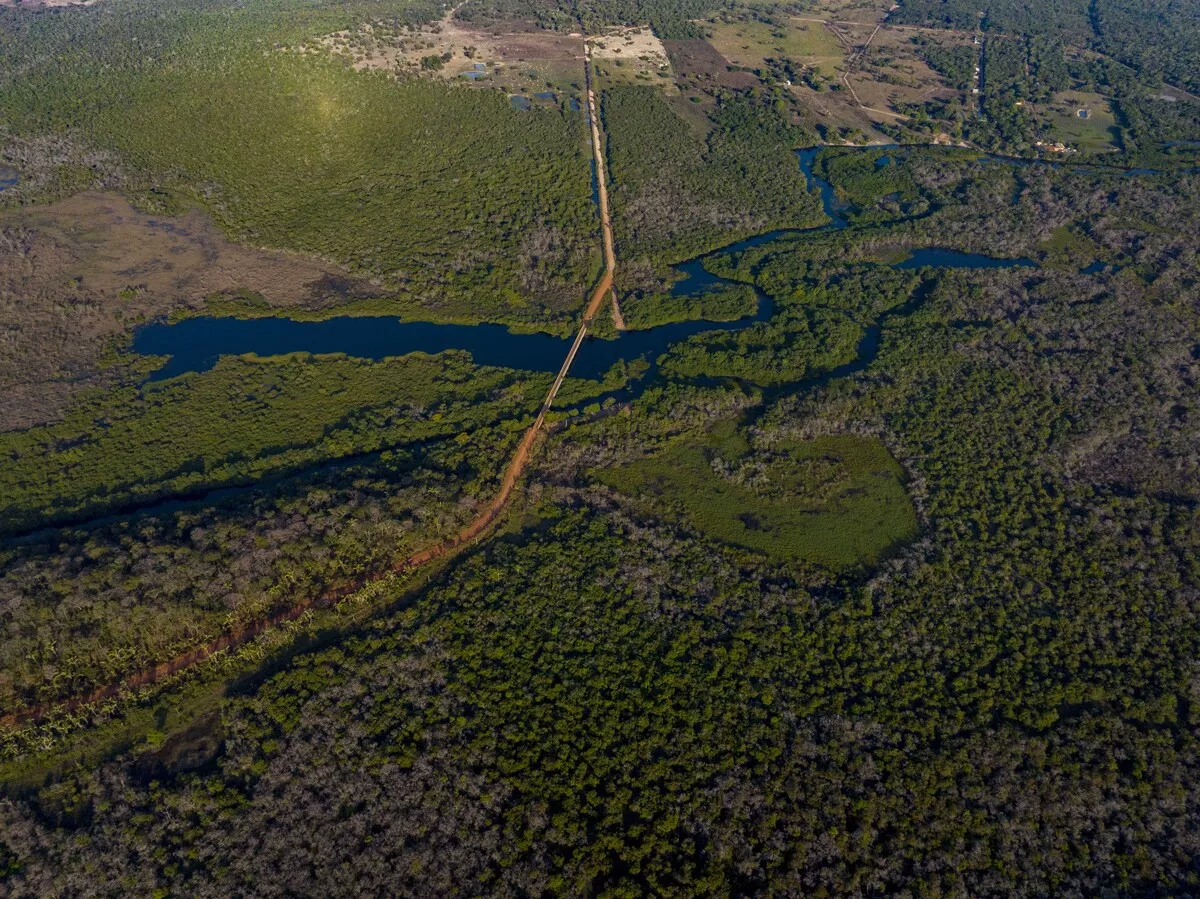 Por que Mauro Mendes quer tanto construir hidrelétricas no Pantanal