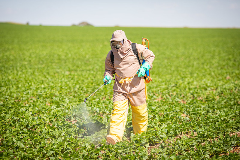 Ministério da Agricultura registra 50 defensivos agrícolas