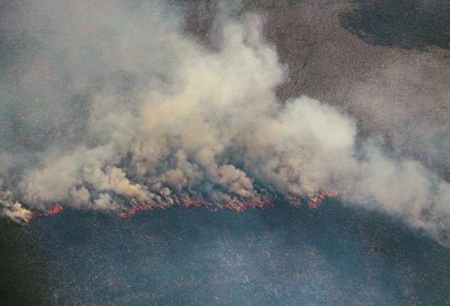 Mato Grosso lidera registro de queimadas, de janeiro a julho