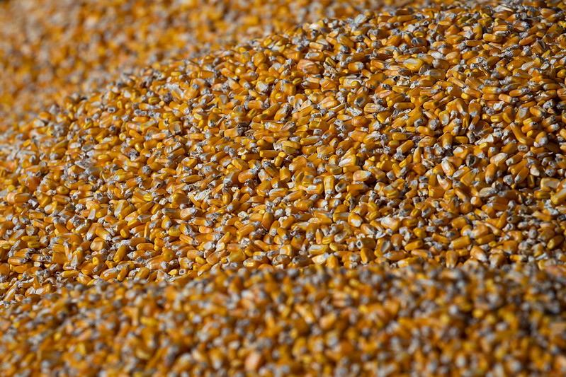 Fim de acordo entre Rússia e Ucrânia deve elevar preço de fertilizantes, milho e trigo