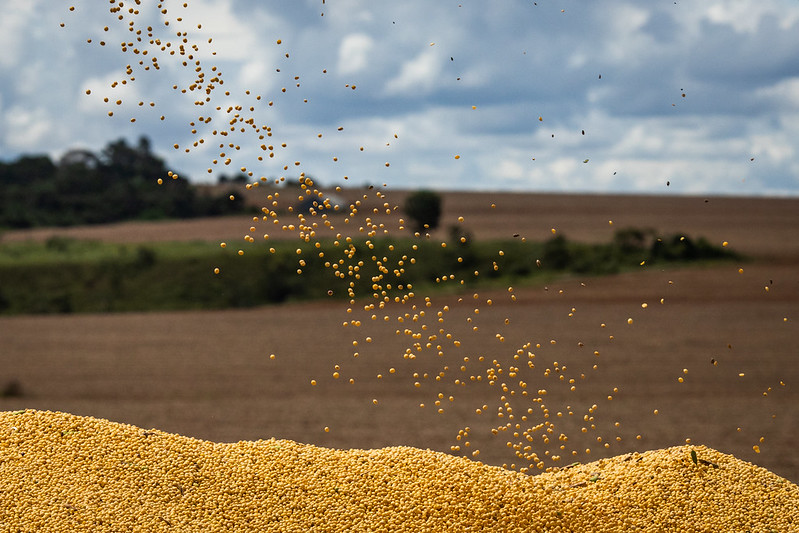 Agro fatura US$ 79 bi em exportação no primeiro semestre e bate recorde