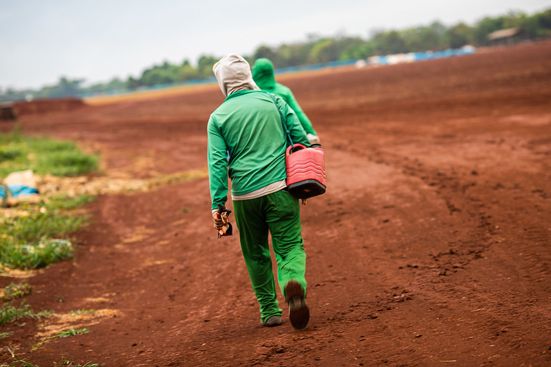 População empregada no agro somou 19,09 milhões no 2º trimestre