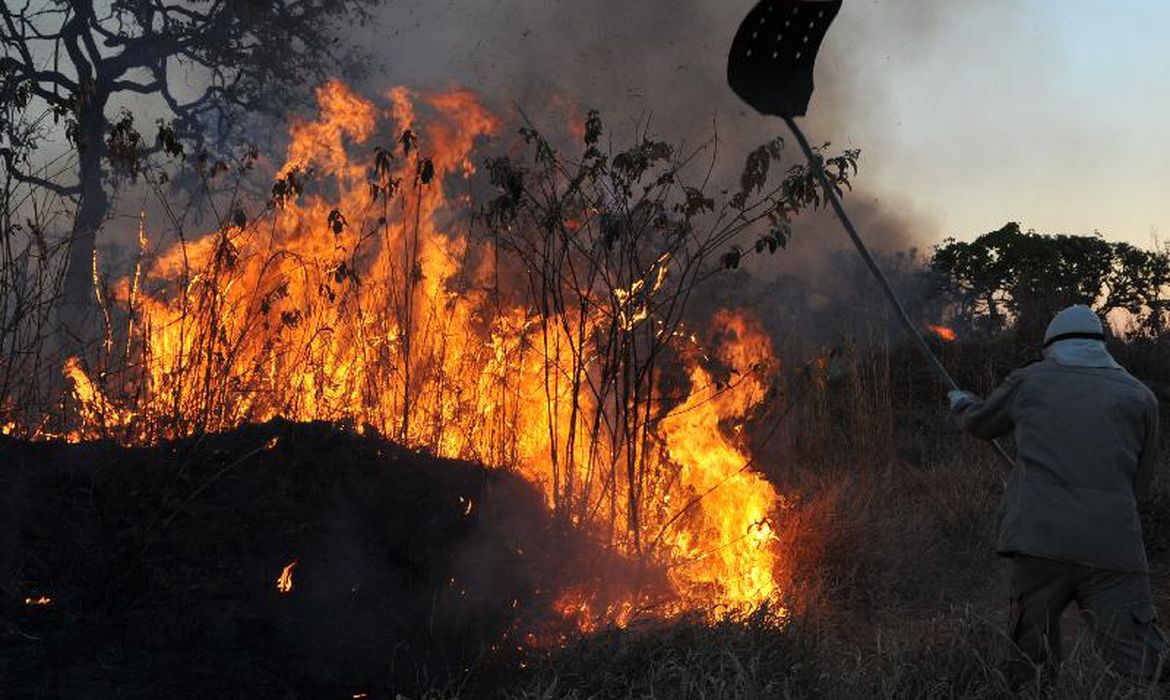 Amazônia tem pior agosto de queimadas dos últimos 12 anos