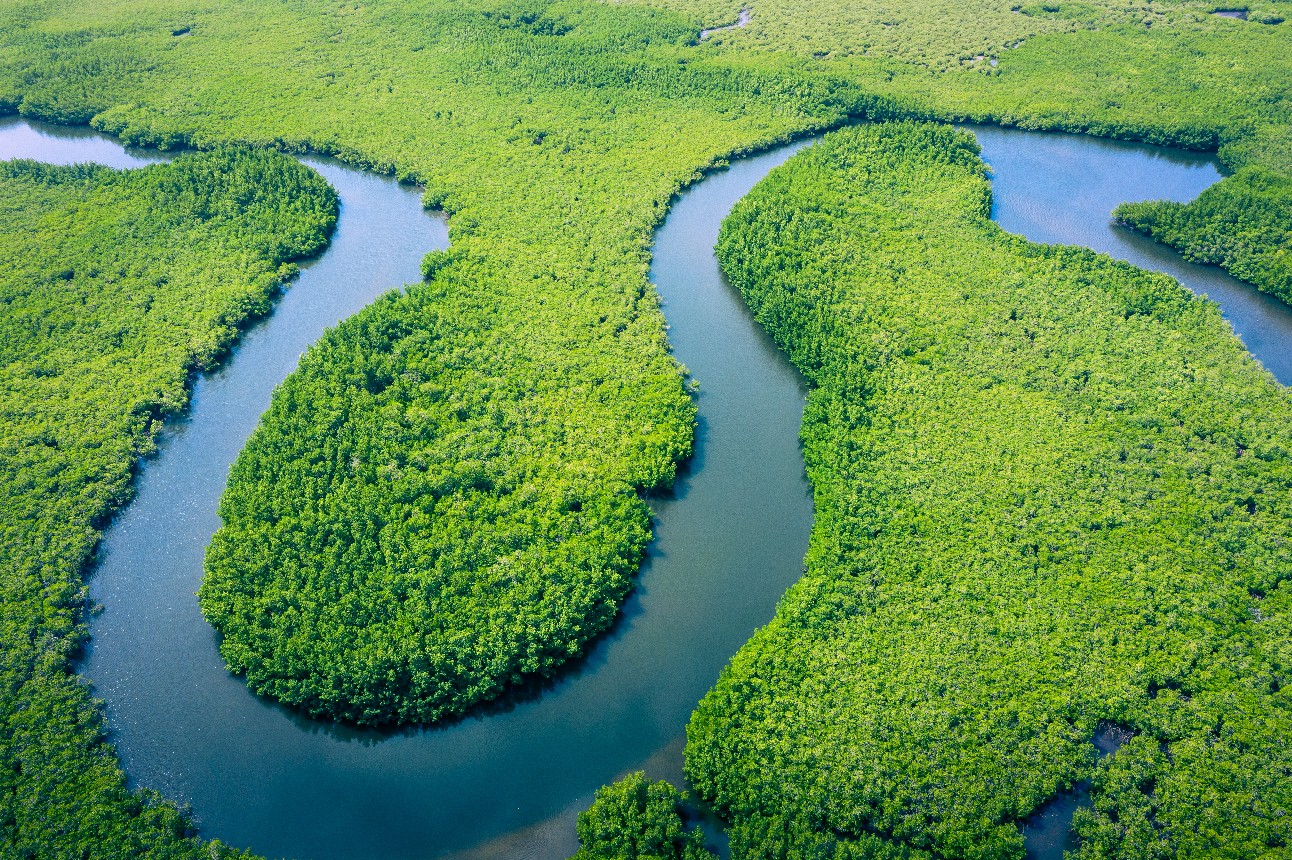 Governo federal anuncia a criação do IPCC da Amazônia