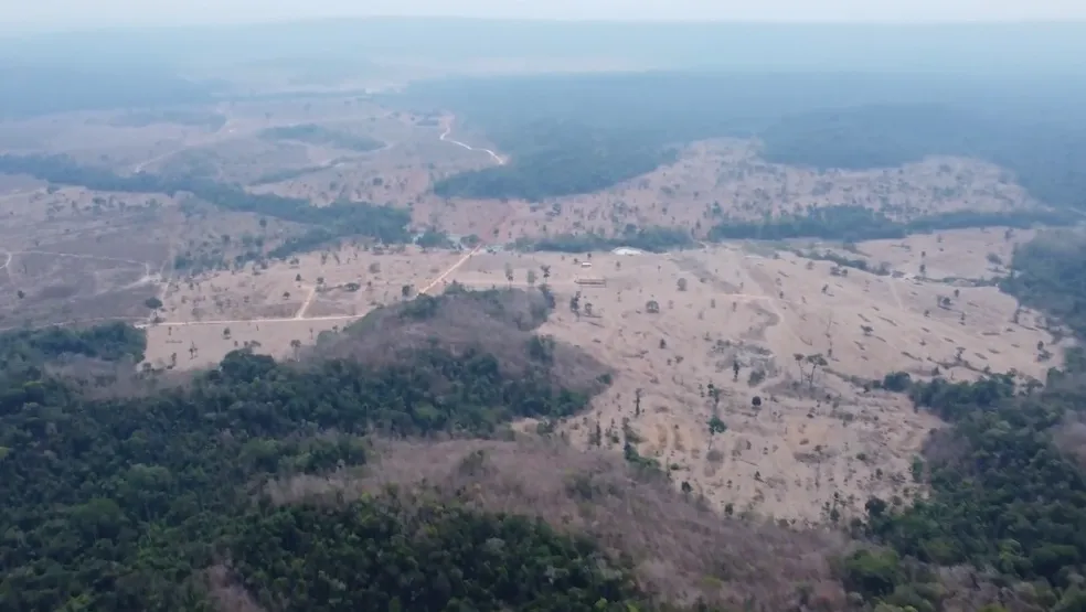 Degradação florestal cresceu 54 vezes na Amazônia em agosto