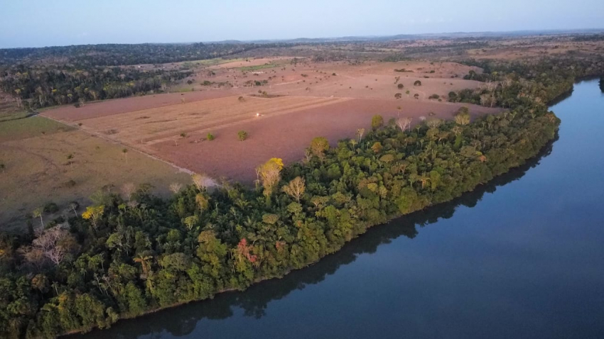 Conheça 7 iniciativas sustentáveis na Amazônia mato-grossense